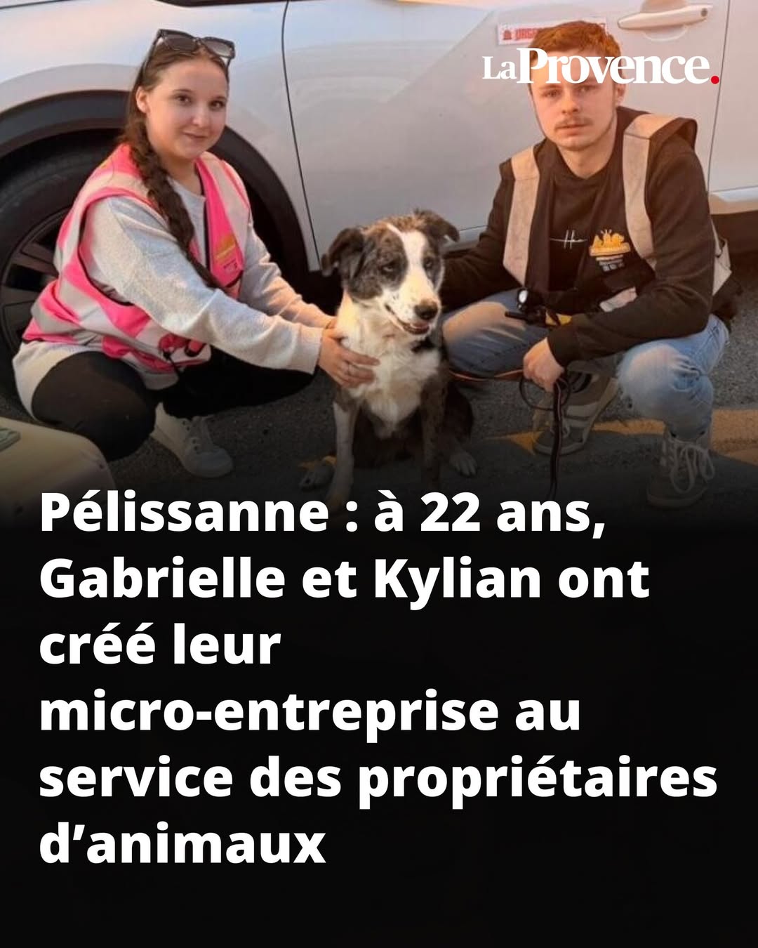 Article La Provence — SOS Compagnon